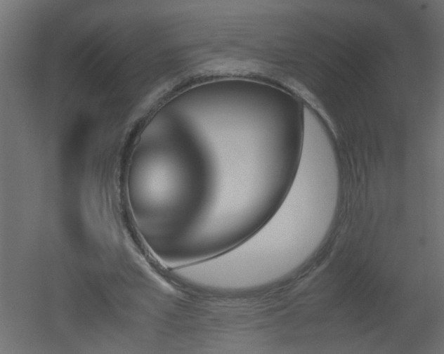 X0000051910581200506241445