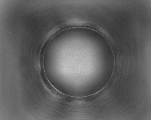 X0000051910582200506241445