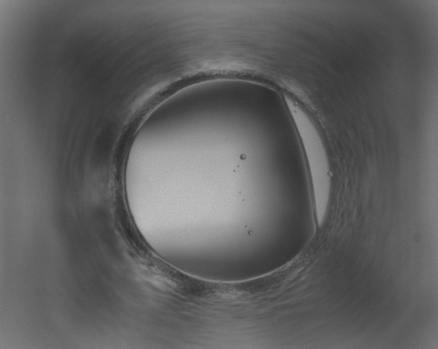 X0000051910583200506241445