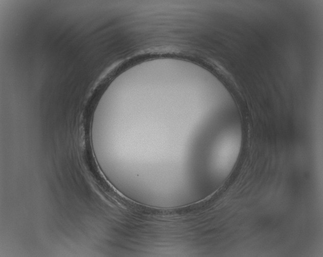 X0000051910584200506241445