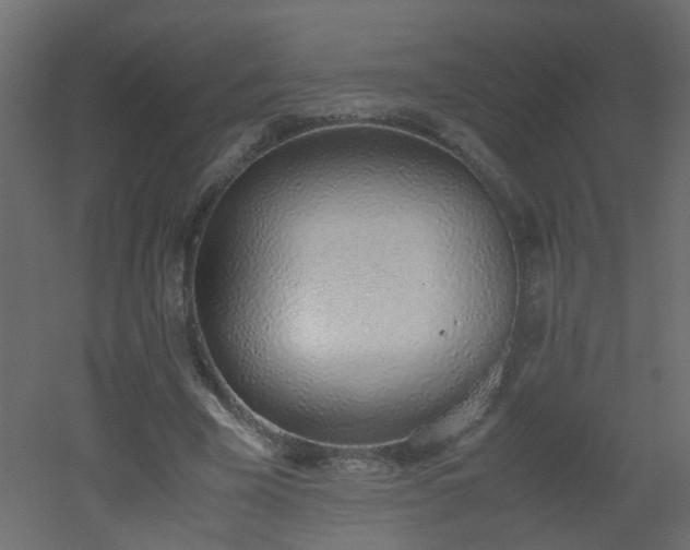 X0000051910585200506241445