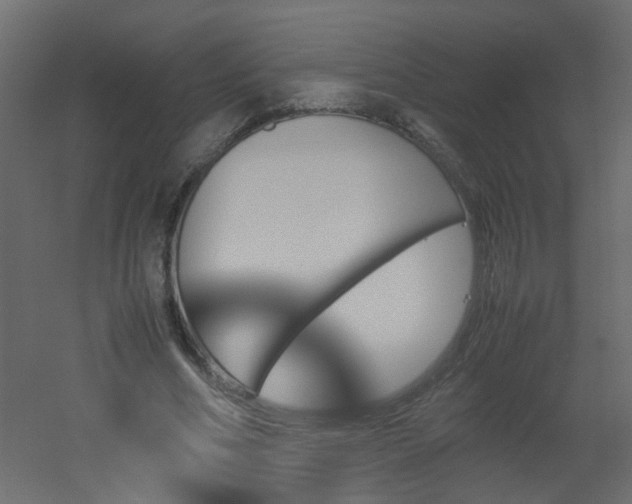 X0000051910586200506241445