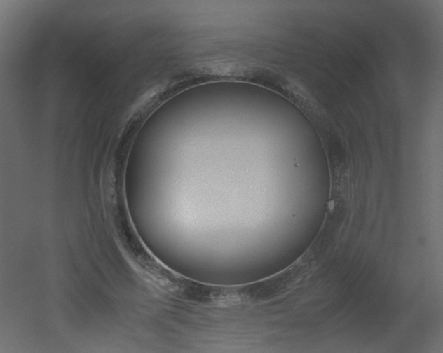 X0000051910587200506241445