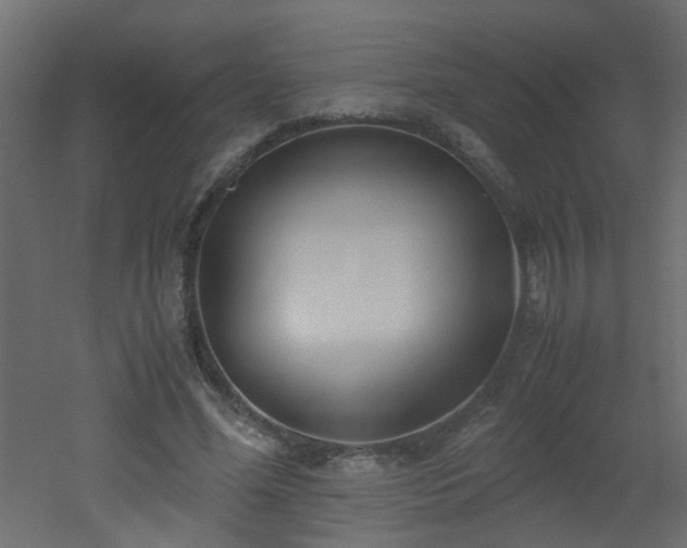 X0000051910588200506241445