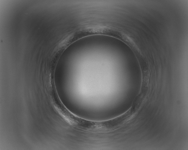 X0000051910589200506241445