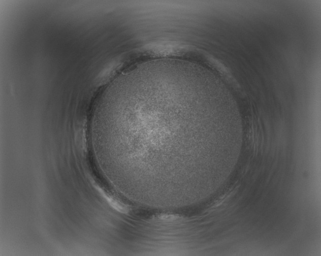 X0000051910590200506241445