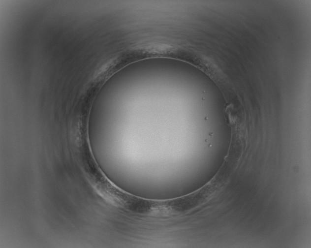 X0000051910591200506241445