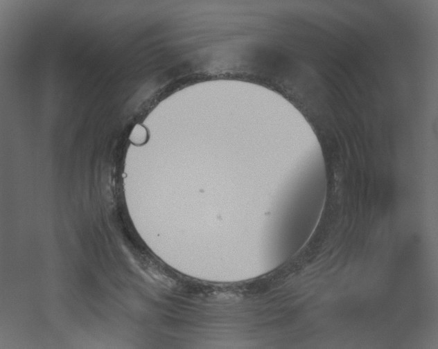 X0000051910592200506241445