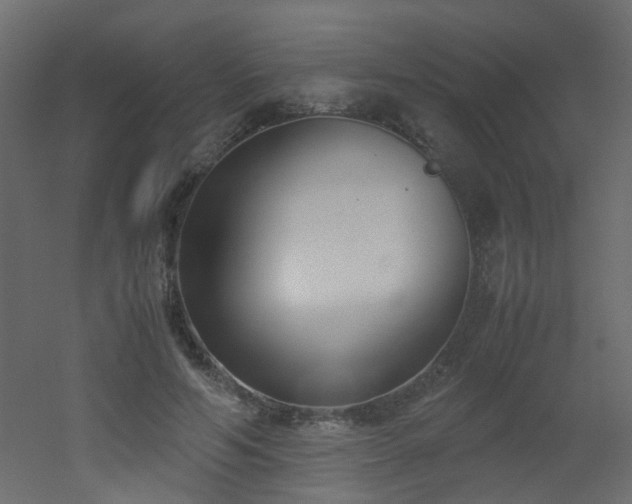 X0000051910594200506241445