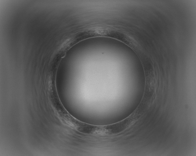 X0000051910595200506241445