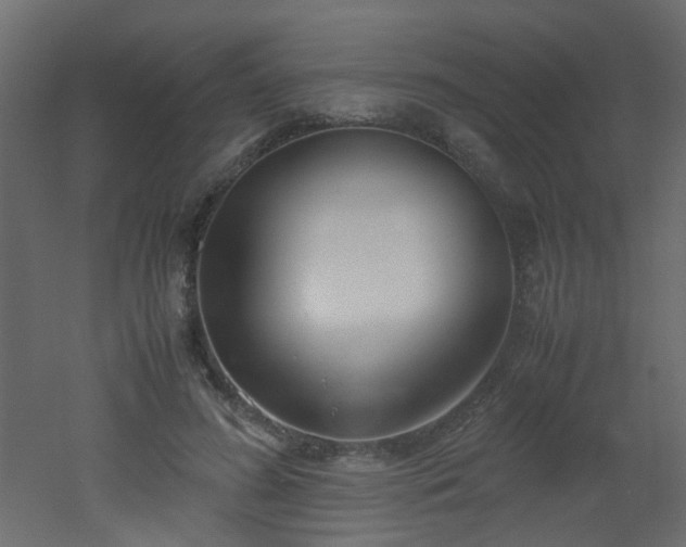 X0000051910596200506241445