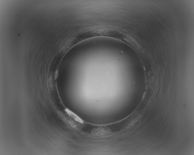 X0000051910597200506241445