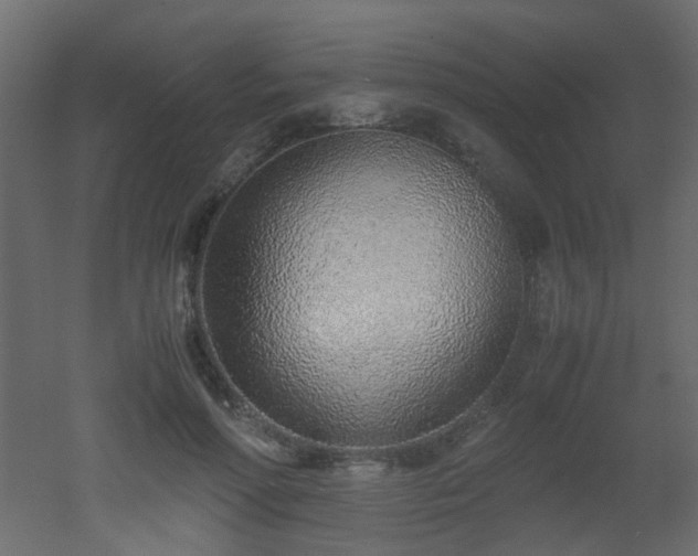 X0000051910598200506241445