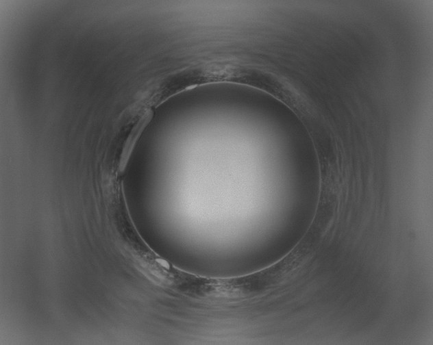 X0000051910601200506241445