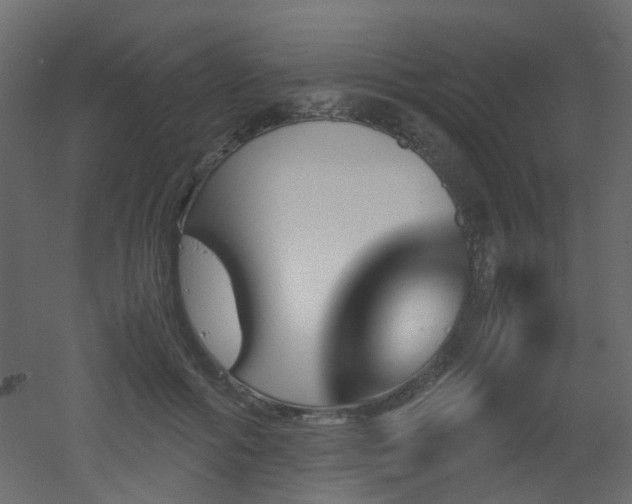 X0000051910602200506241445