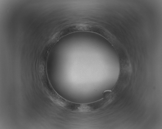 X0000051910603200506241445