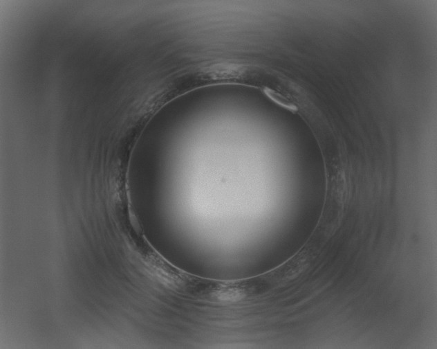 X0000051910604200506241445