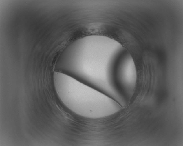 X0000051910606200506241445