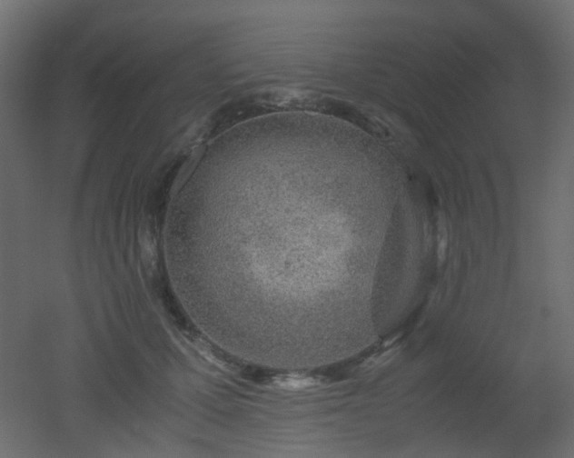 X0000051910607200506241445