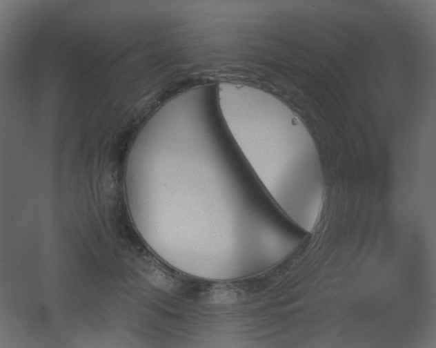 X0000051910608200506241445