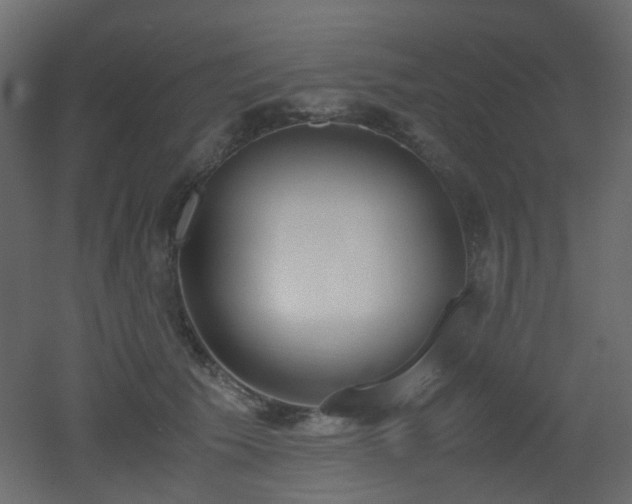 X0000051910609200506241445