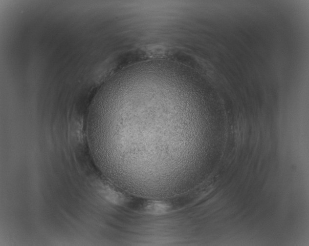 X0000051910610200506241445