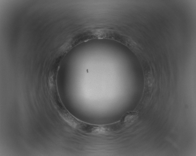 X0000051910611200506241445