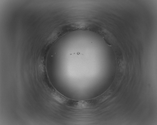 X0000051910612200506241445