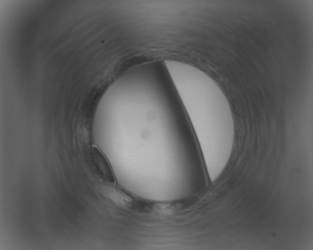 X0000051910613200506241445