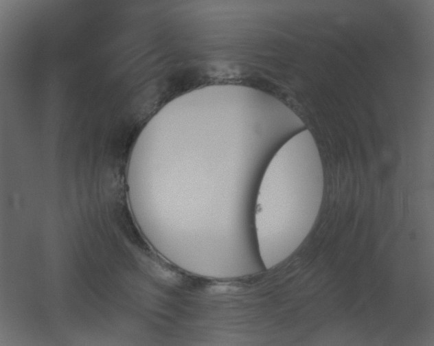 X0000051910614200506241444