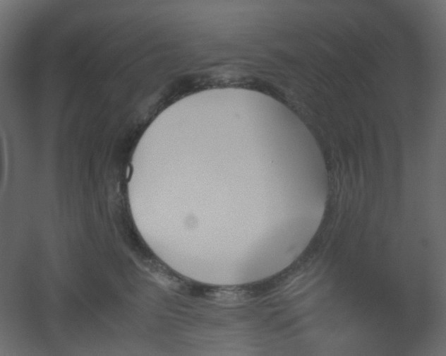 X0000051910615200506241444