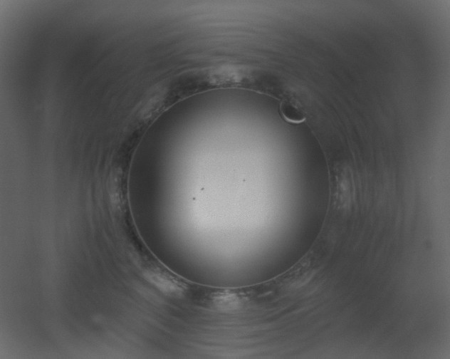 X0000051910616200506241444