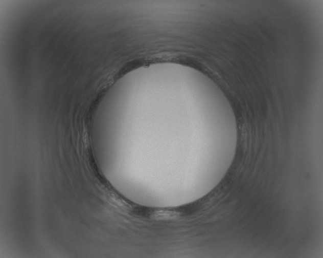 X0000051910617200506241444