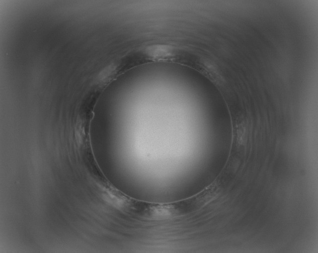 X0000051910618200506241444