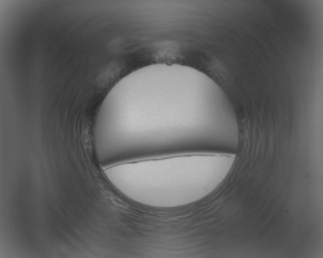 X0000051910619200506241444