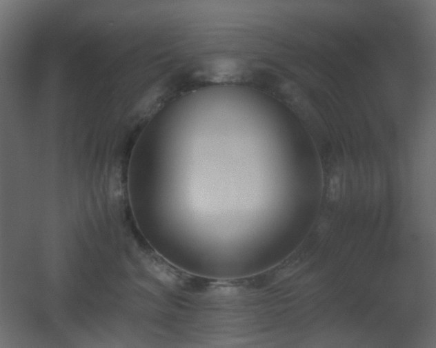 X0000051910620200506241444