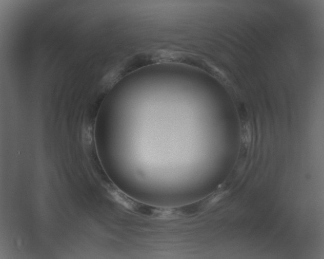 X0000051910621200506241444