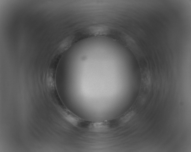 X0000051910622200506241444