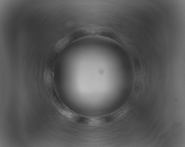 X0000051910623200506241444