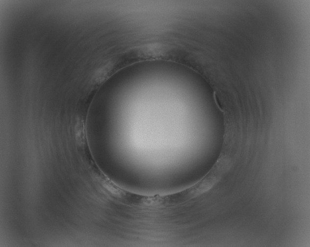 X0000051910624200506241444