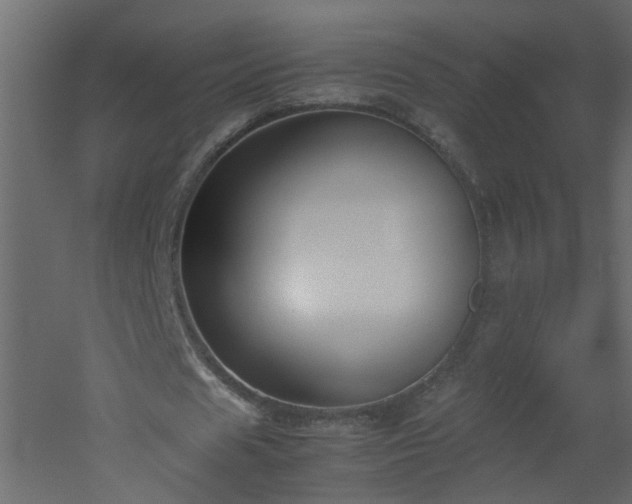 X0000051910625200506241444