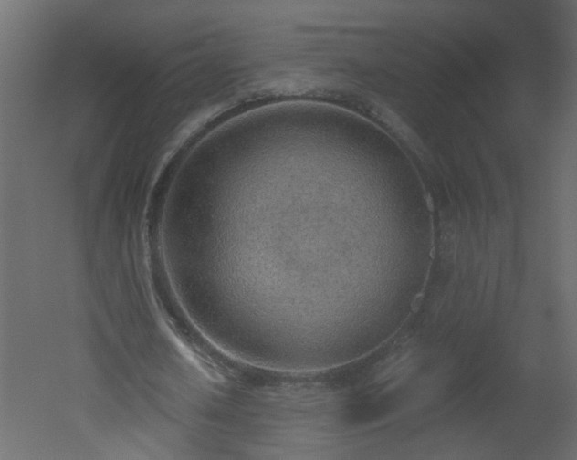 X0000051910626200506241444