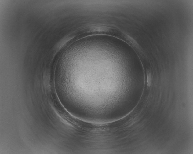 X0000051910627200506241444