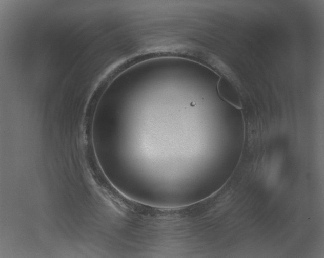 X0000051910628200506241444