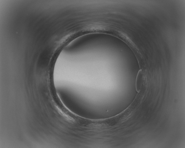 X0000051910629200506241444