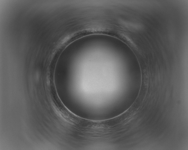 X0000051910631200506241444