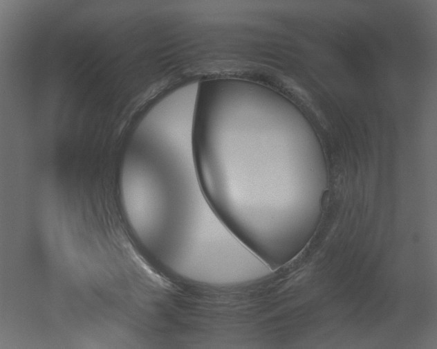 X0000051910633200506241444