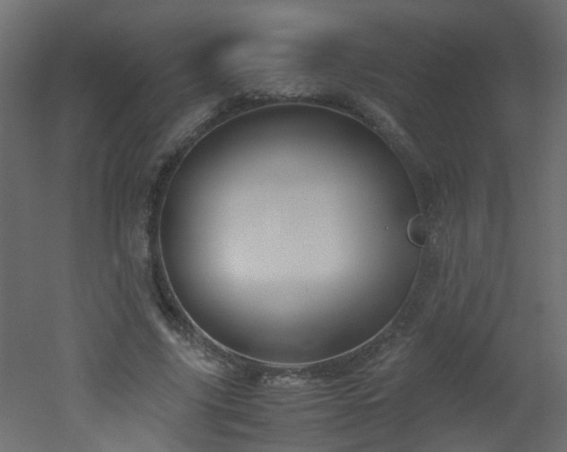 X0000051910635200506241444