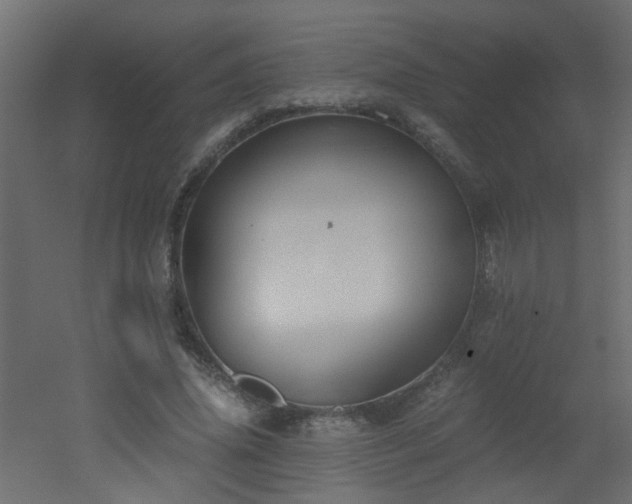 X0000051910636200506241444