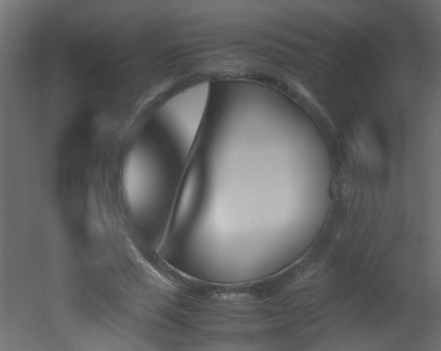 X0000051910637200506241444